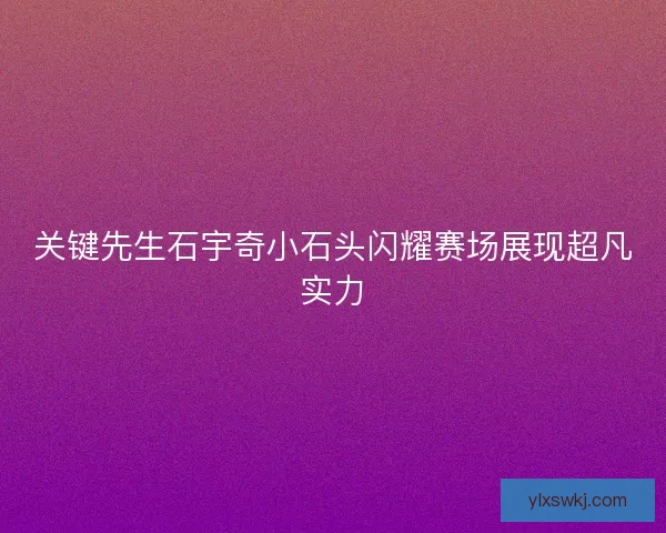 关键先生石宇奇小石头闪耀赛场展现超凡实力 关键先生石宇奇小石头闪耀赛场展现超凡实力