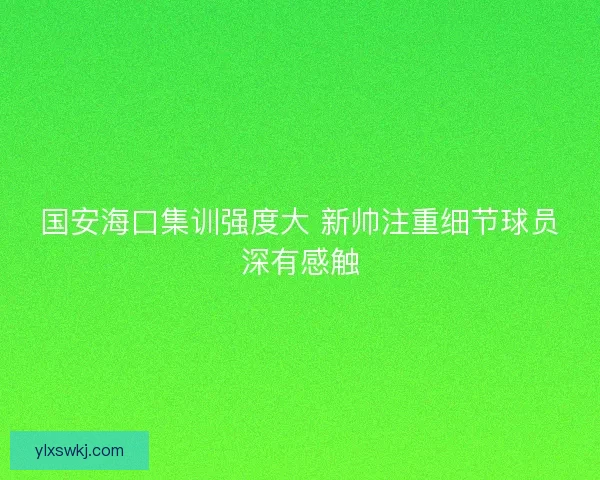 国安海口集训强度大 新帅注重细节球员深有感触 国安海口集训强度大 新帅注重细节球员深有感触