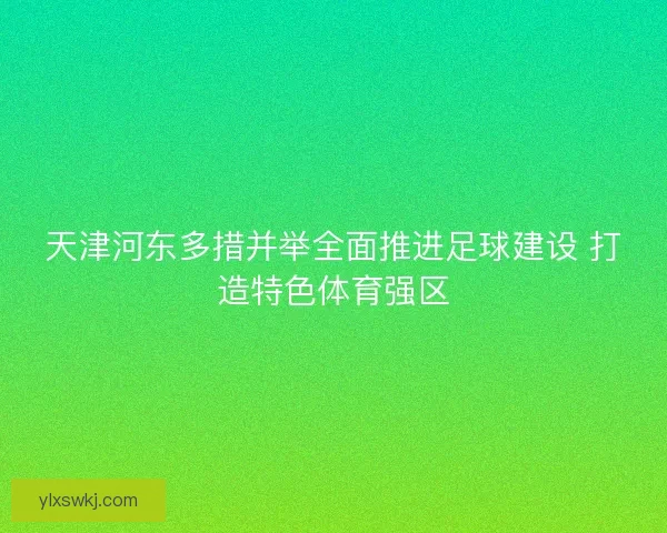 天津河东多措并举全面推进足球建设 打造特色体育强区 天津河东多措并举全面推进足球建设 打造特色体育强区